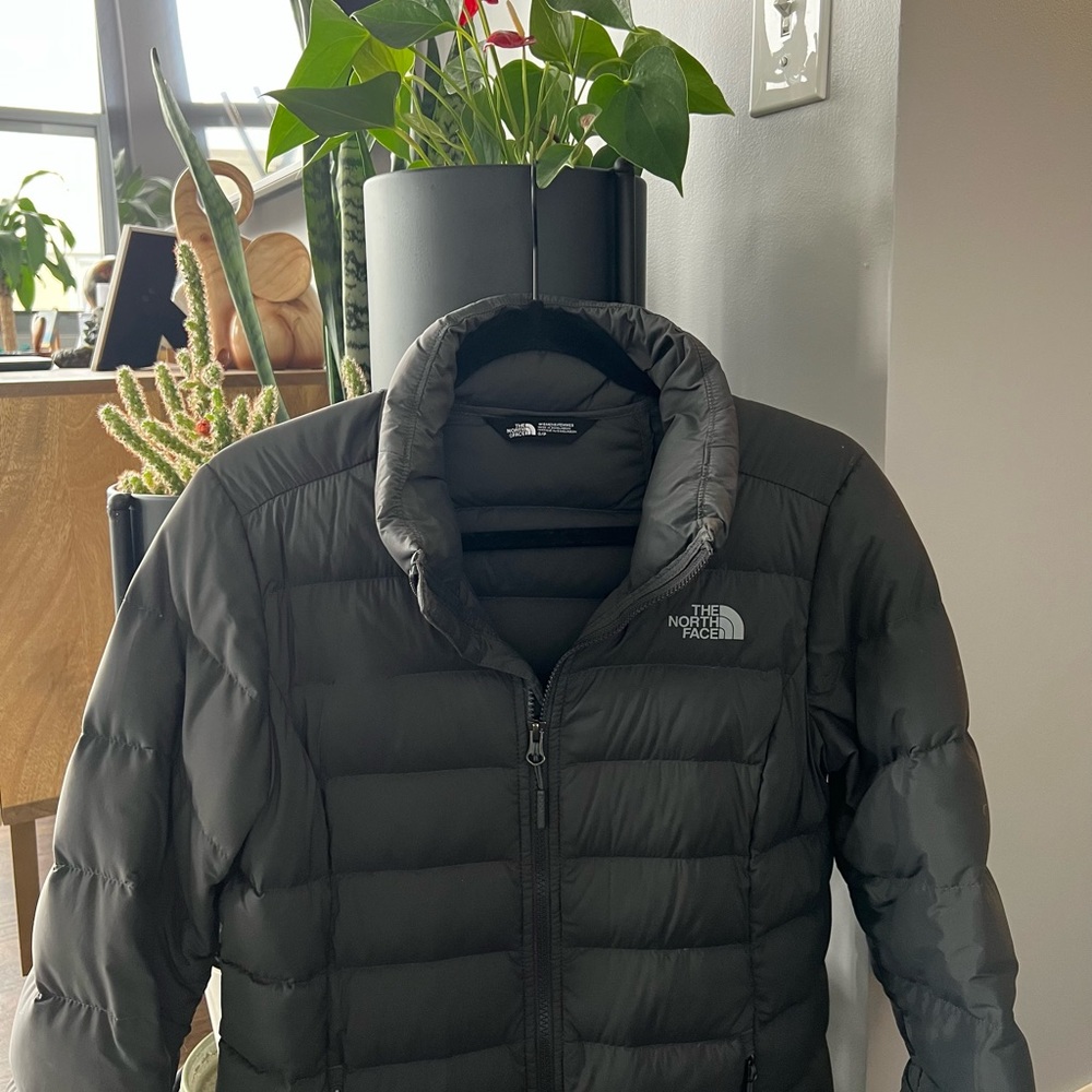 The North Face down jacket